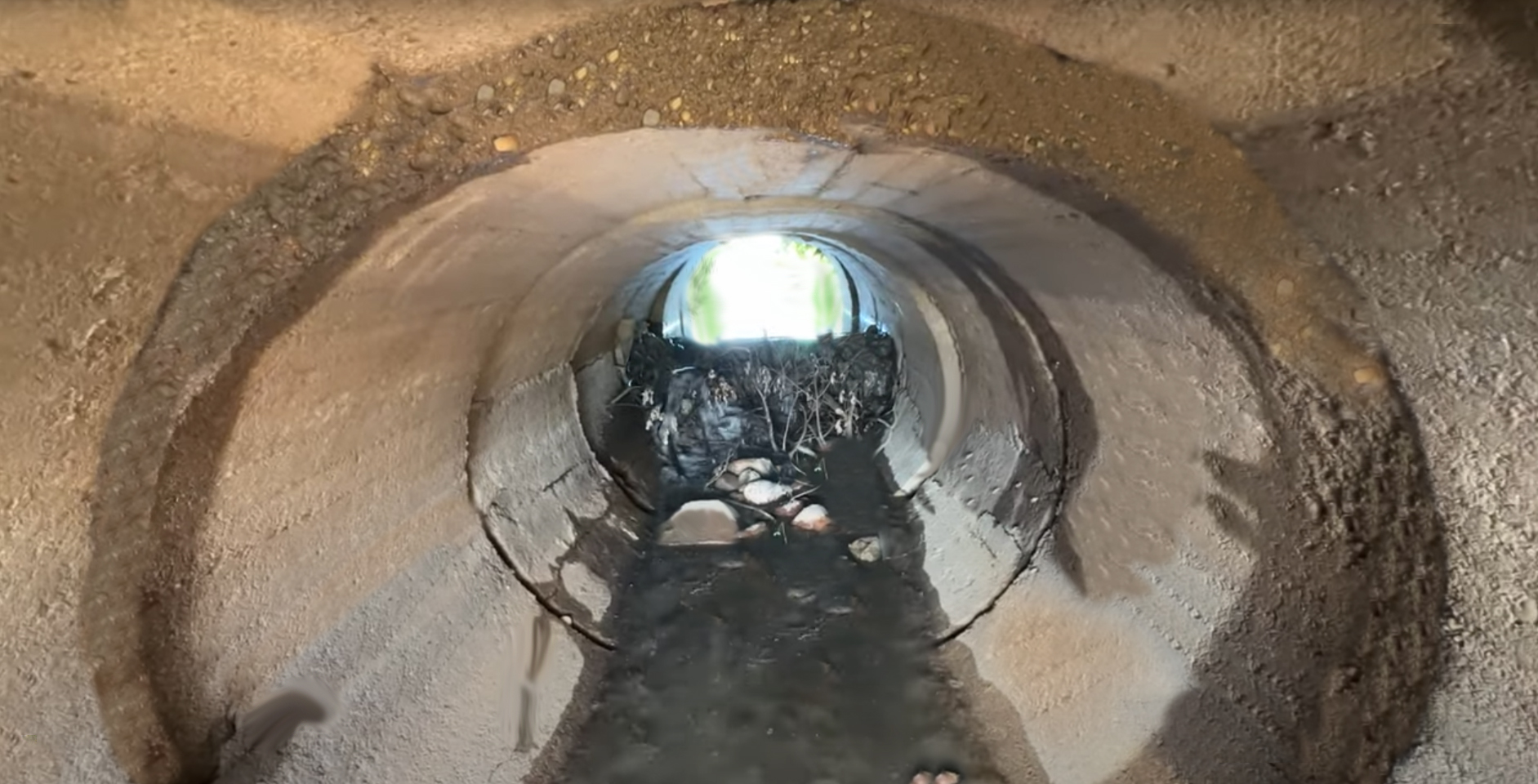 A cement culvert that has water blocked at one end as the result of a beaver damming it up
