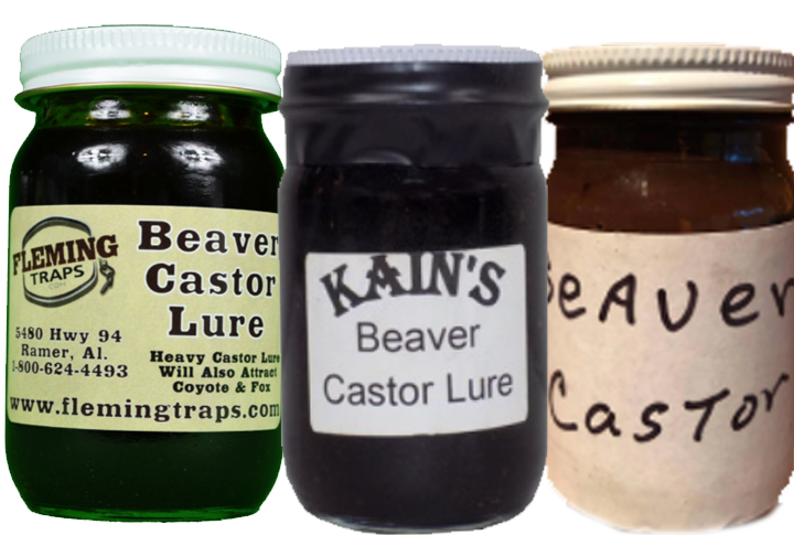 Two bottles of commercial beaver castor and one bottle of homemade castor