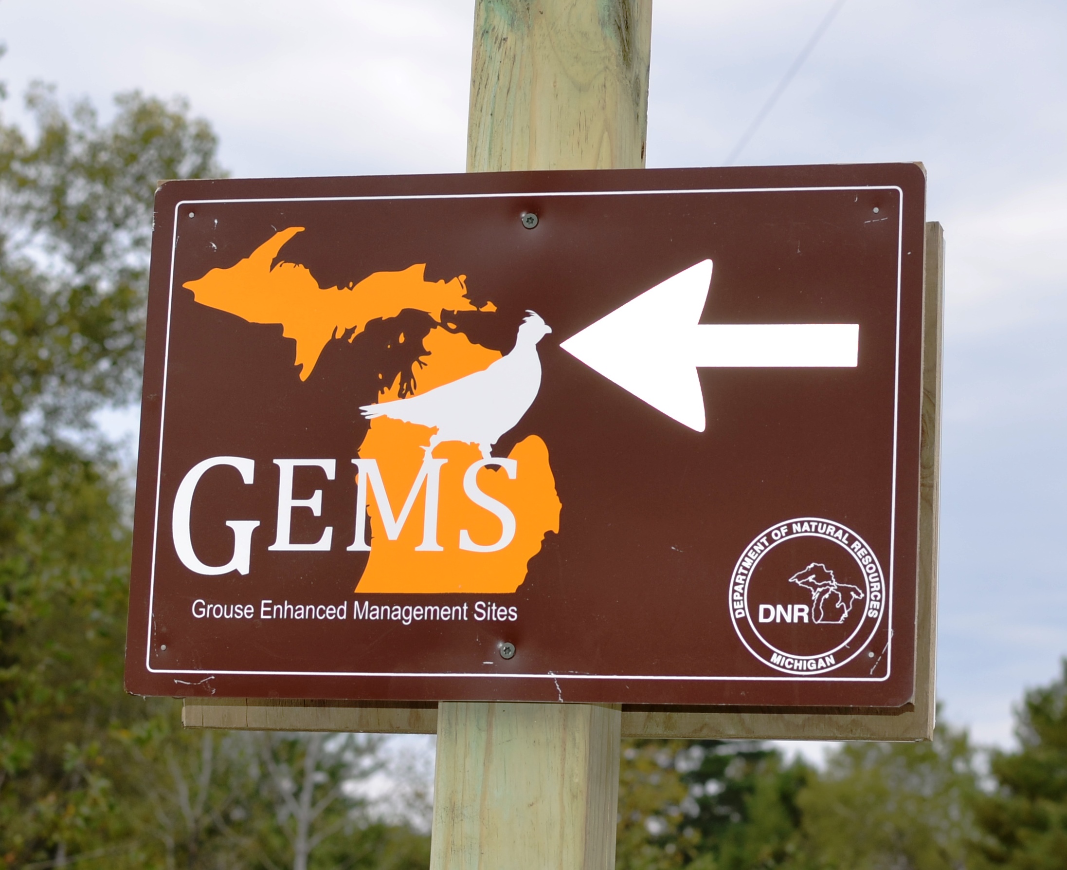a Michigan DNR sign for a grouse enhanced management site