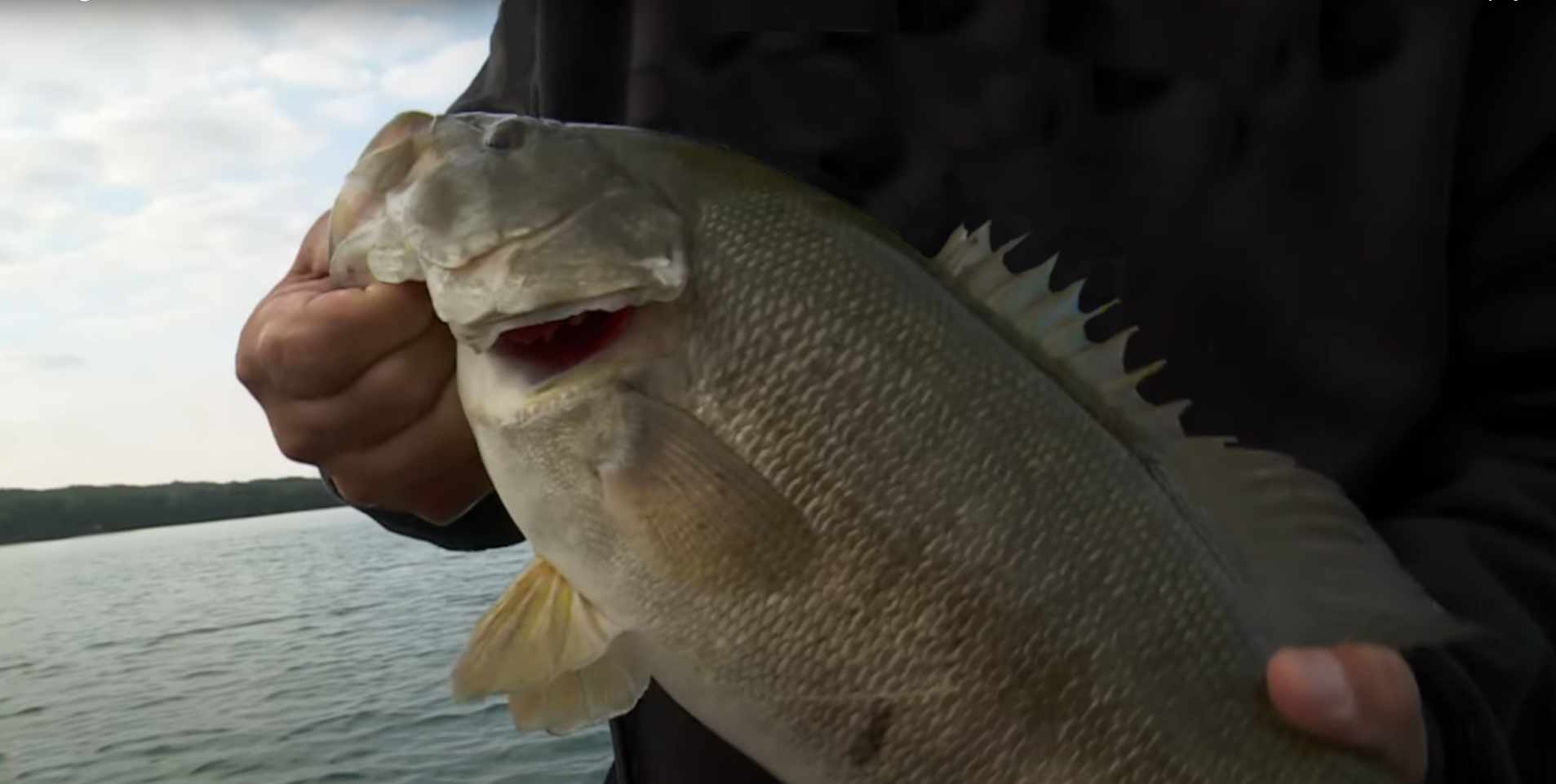 A fisherman holding a lunker smallmouth bass