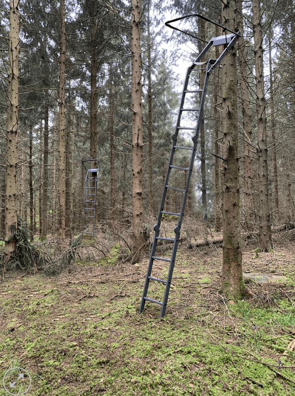 Two Deer Hunting Treestands within sight of each other in Northern Michigan Woods
